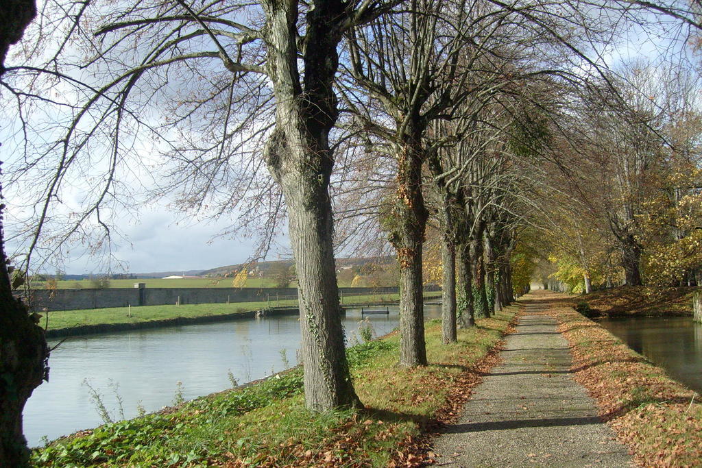 Château De Serrigny Ladoix-Serrigny Buitenkant foto
