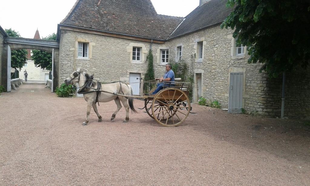Château De Serrigny Ladoix-Serrigny Buitenkant foto